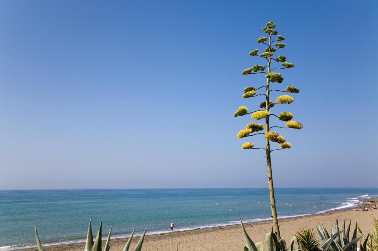 Apt 212 Heaven Beach Apartments, Guadalmansa Playa Estepona Exterior photo